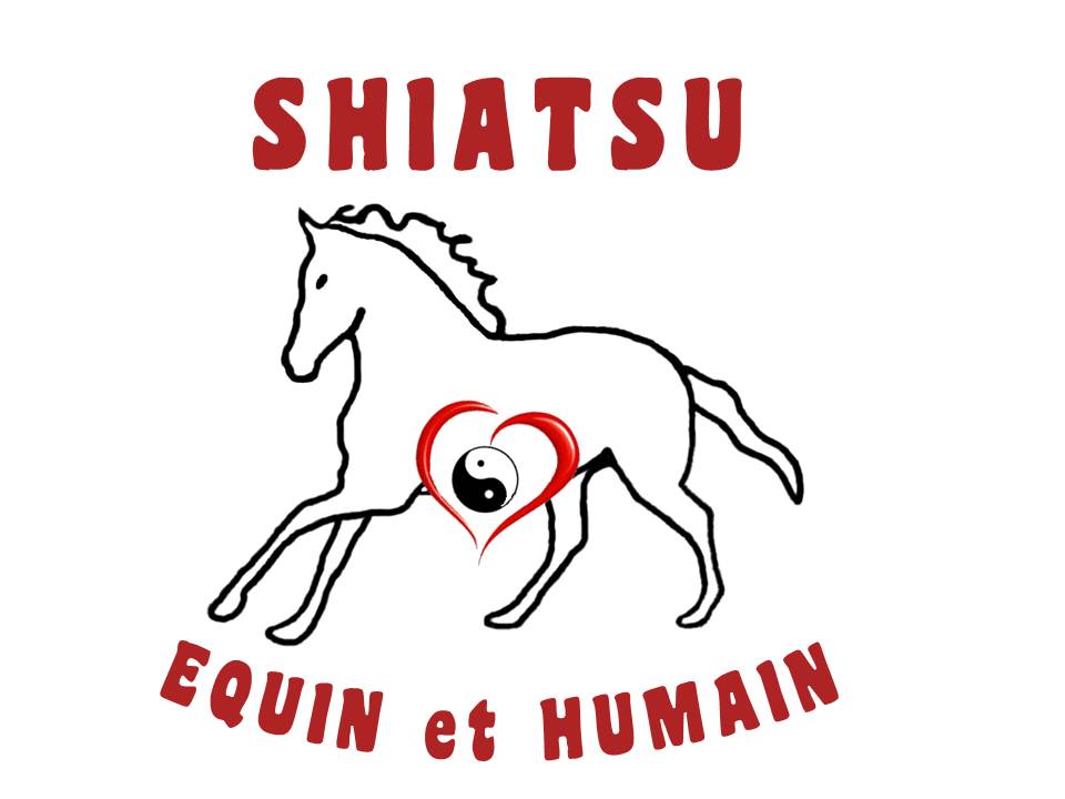 ShiatsuEquinetHumain